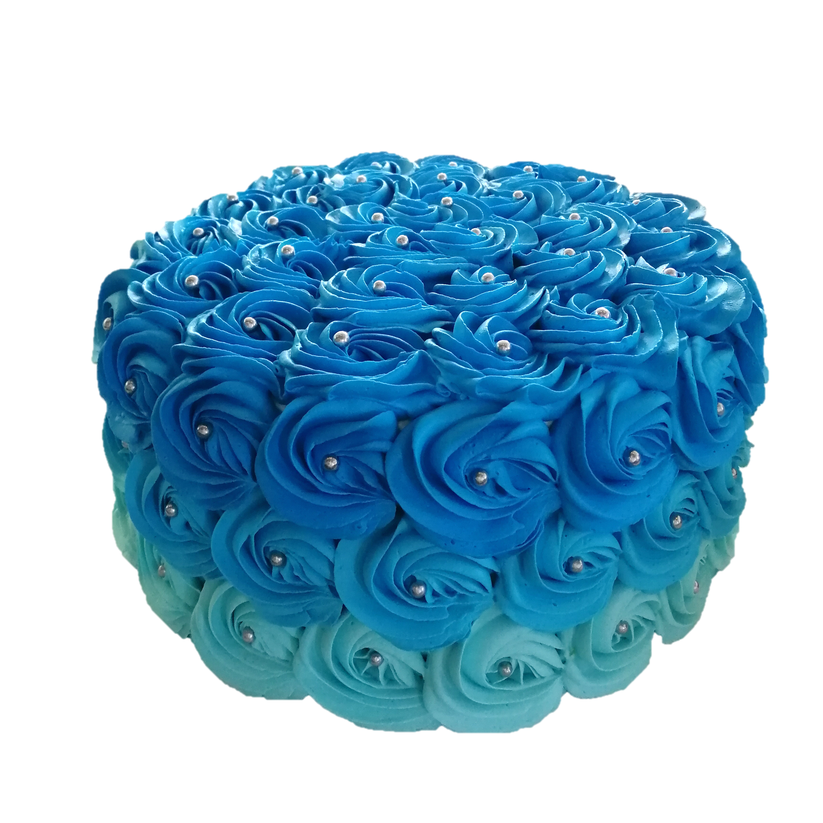 Blue Ombre Rose Cake 渐变蓝色玫瑰蛋糕